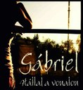 A Gábriel zenekar „Háttal a vonaton” című lemezbemutató előadására került sor