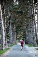 Kirekesztésről és befogadásról beszélgettek a 6. Életfonal táborban