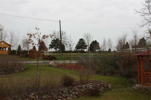 szelrozsa-049-medium.jpg