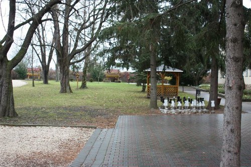 szelrozsa-056-medium.jpg
