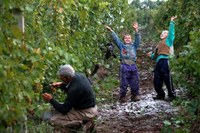 Roma hiedelmekkel és hitvilággal foglalkoznak Pécsen