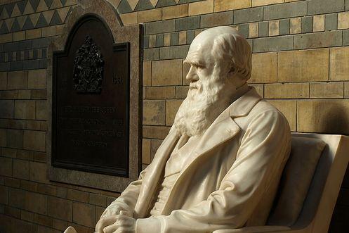 Darwin-nap: elmélet vagy világnézet az evolúció?