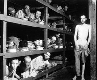 Elbukott a holokauszttagadást büntethetővé tevő alkotmánymódosítás