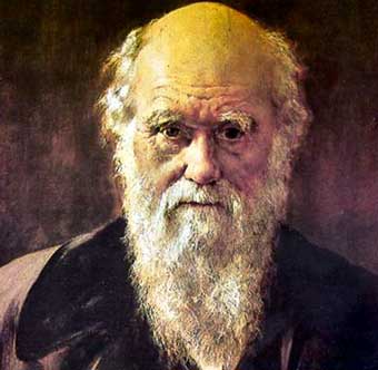 Tévedett volna Darwin? – Egy könyv szerzői szerint nem volt mindenben igaza az evolúcióval kapcsolatban