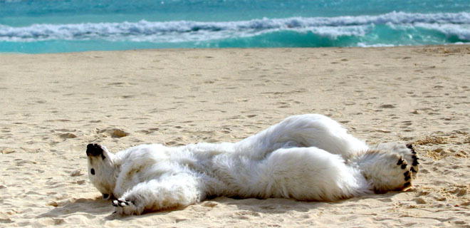 Áttörés nem történt, de megállapodás született a klímacsúcson