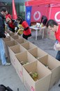 vodafone_mos_humalapsajtaj_fd_20110118-095.jpg