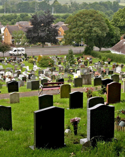 „Halottja van mindannyiunknak...”