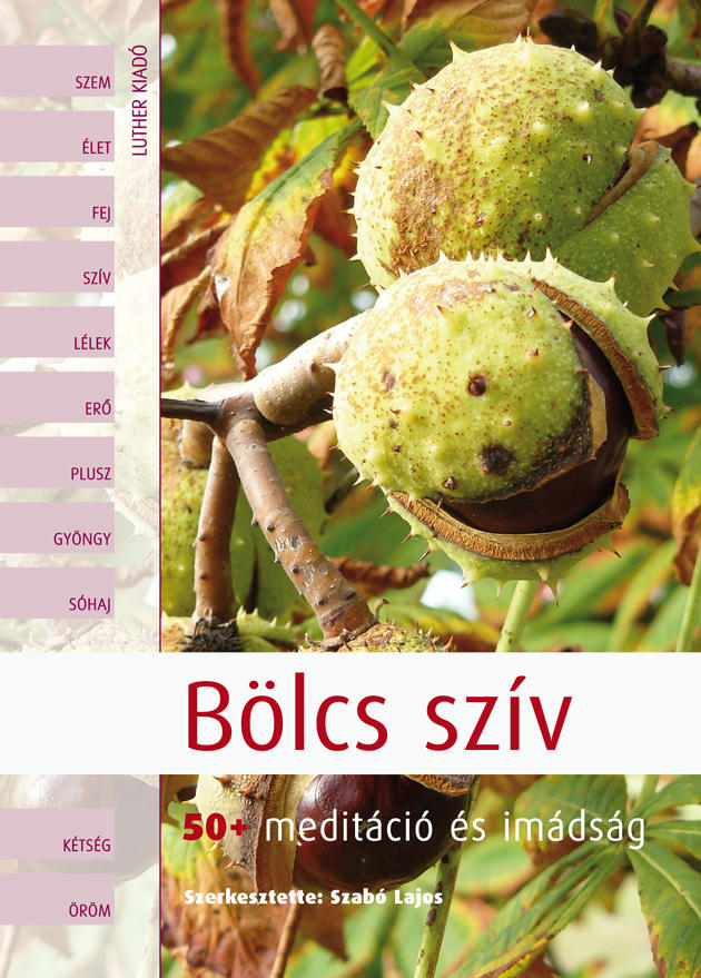 Bölcs szív – Gondol-e valaki rám!