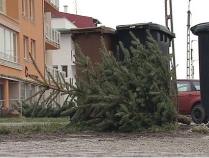 Egy karácsonyfa emlékére – „Ó szép fenyő, oly' kedves minden ágad!”