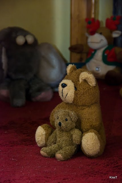 Nem mindennapi történetek emberi sorsokról